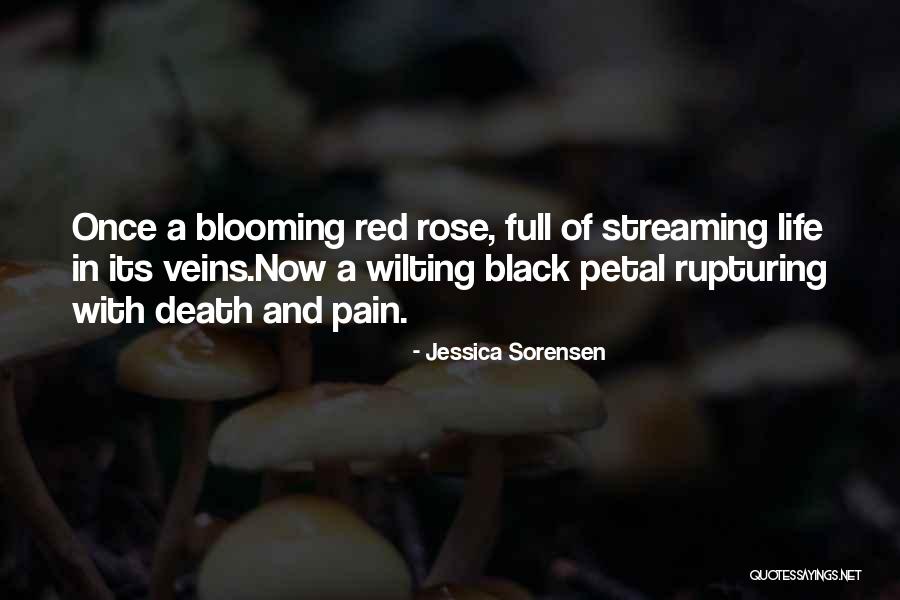 Red Rose With Quotes By Jessica Sorensen