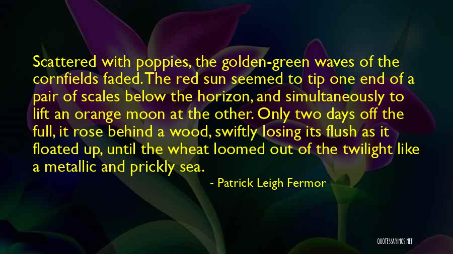 Red Rose With Quotes By Patrick Leigh Fermor