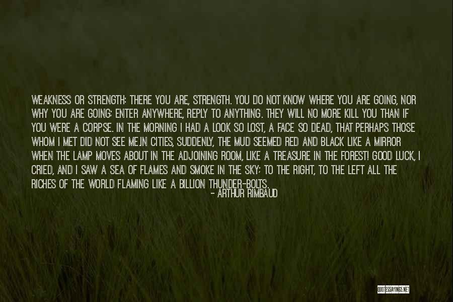 Red Sea Quotes By Arthur Rimbaud Red Sea Quotes By Arthur Rimbaud