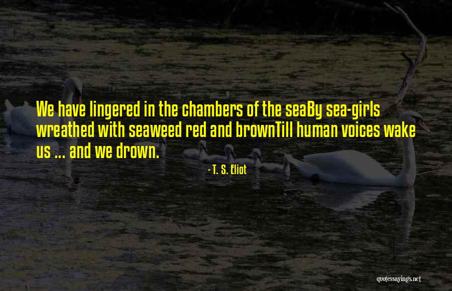 Red Sea Quotes By T. S. Eliot Red Sea Quotes By T. S. Eliot