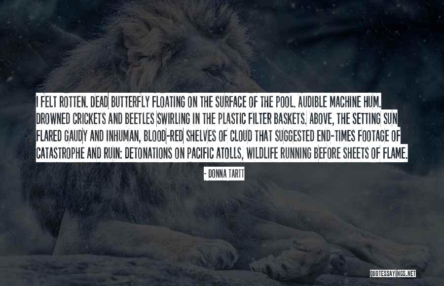 Red Sun Quotes By Donna Tartt Red Sun Quotes By Donna Tartt