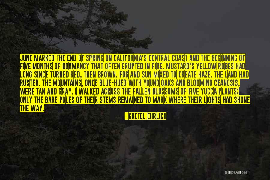 Red Sun Quotes By Gretel Ehrlich Red Sun Quotes By Gretel Ehrlich