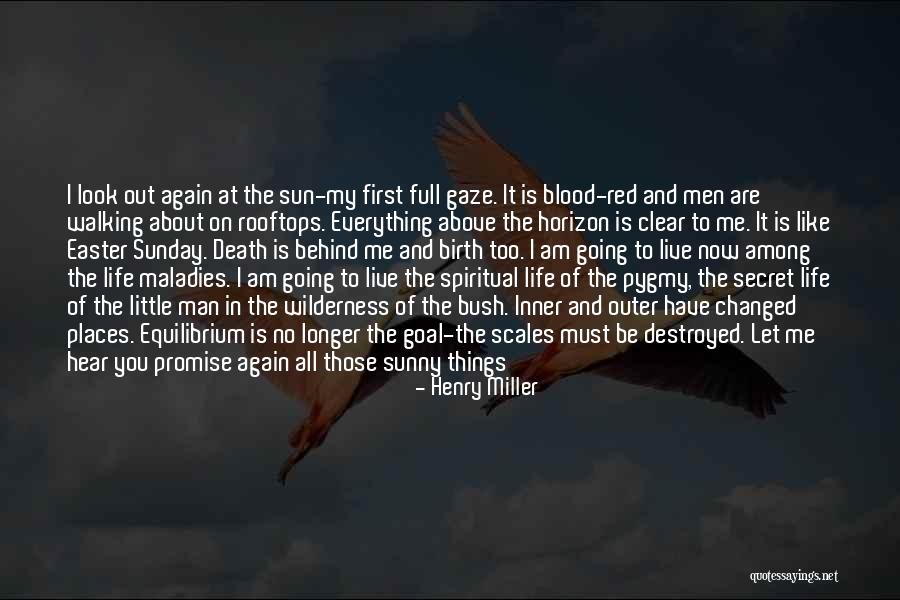 Red Sun Quotes By Henry Miller