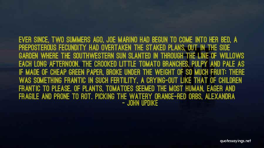 Red Sun Quotes By John Updike Red Sun Quotes By John Updike