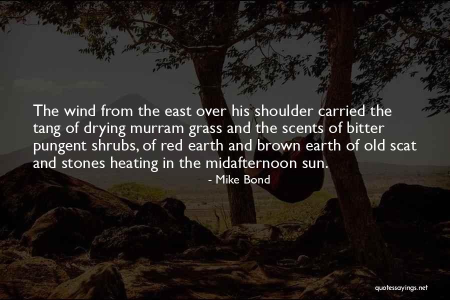 Red Sun Quotes By Mike Bond