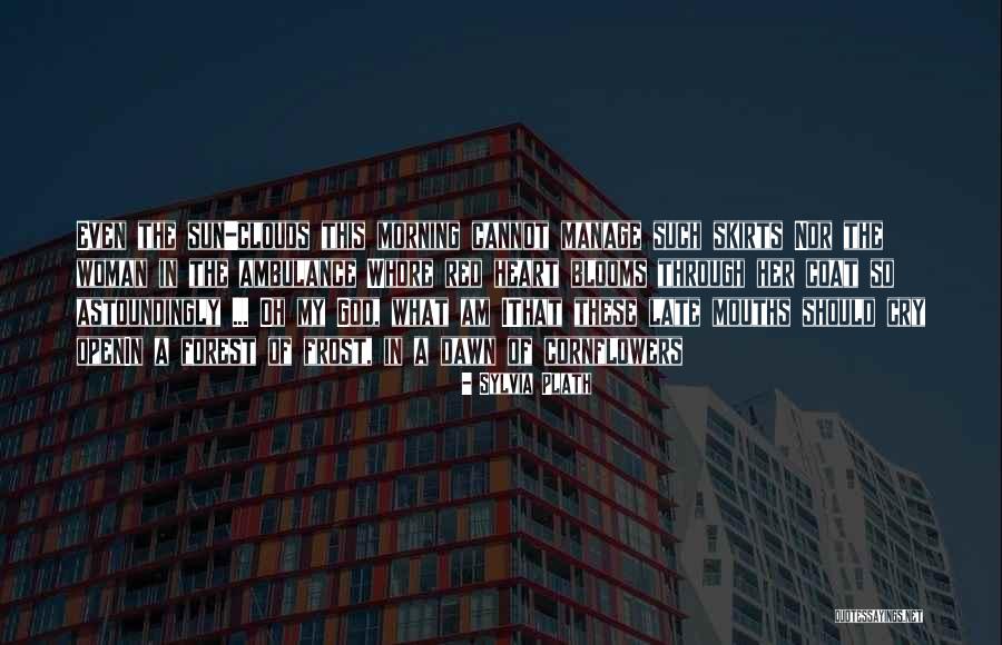 Red Sun Quotes By Sylvia Plath Red Sun Quotes By Sylvia Plath