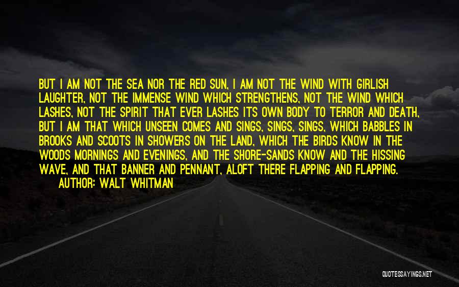 Red Sun Quotes By Walt Whitman