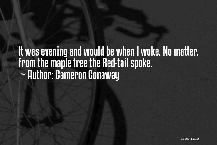 Red Tail Quotes By Cameron Conaway