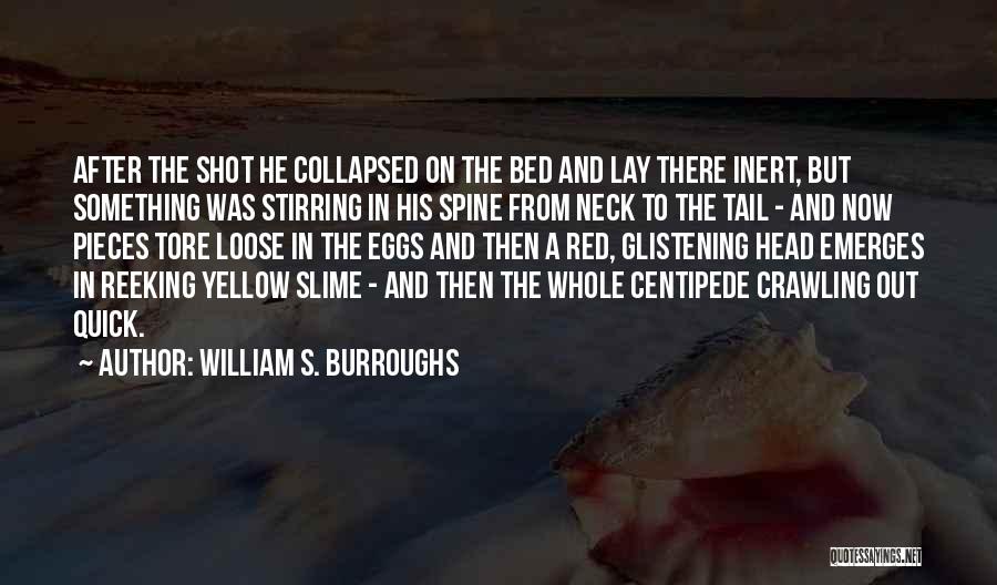 Red Tail Quotes By William S. Burroughs