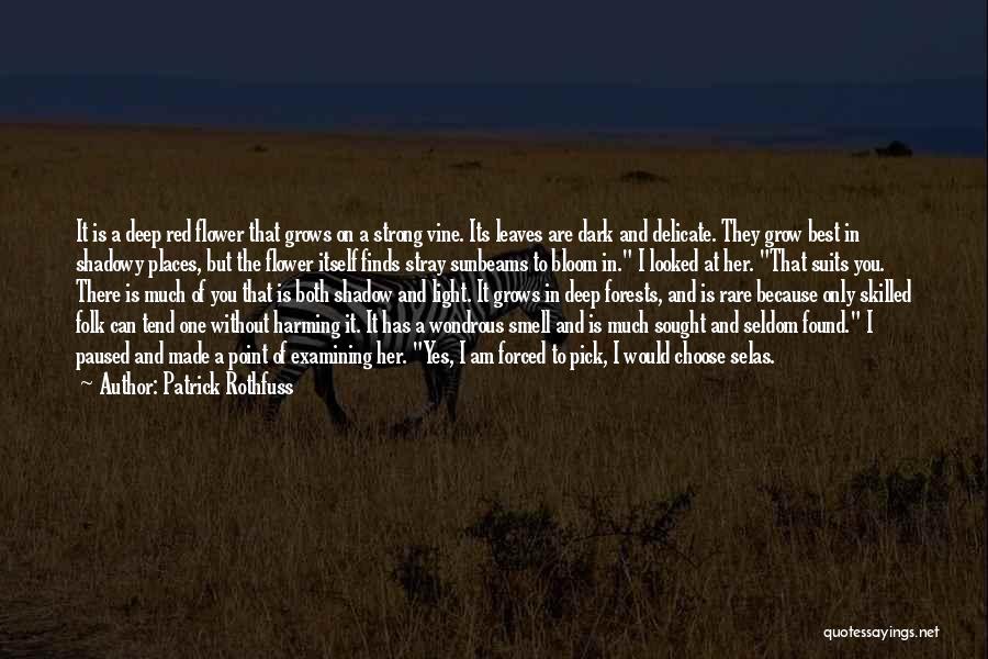 Red Vine Quotes By Patrick Rothfuss