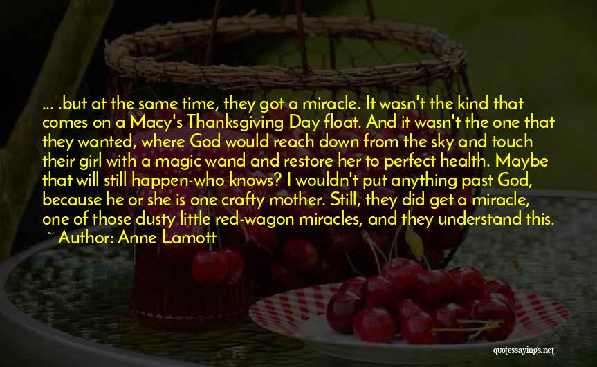 Red Wagon Quotes By Anne Lamott