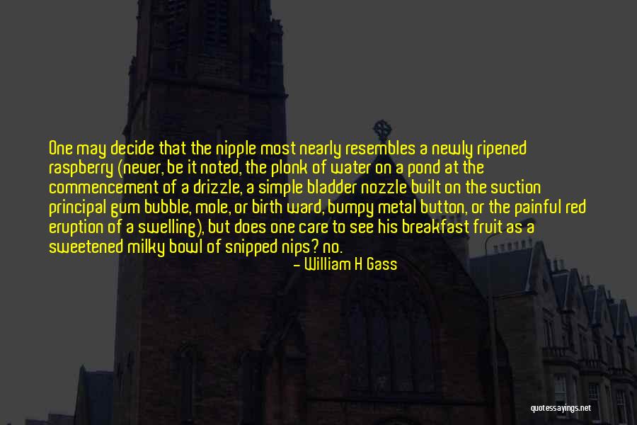 Red Water Quotes By William H Gass Red Water Quotes By William H Gass