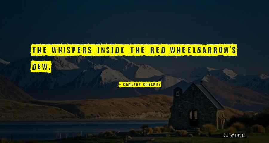Red Wheelbarrow Quotes By Cameron Conaway Red Wheelbarrow Quotes By Cameron Conaway