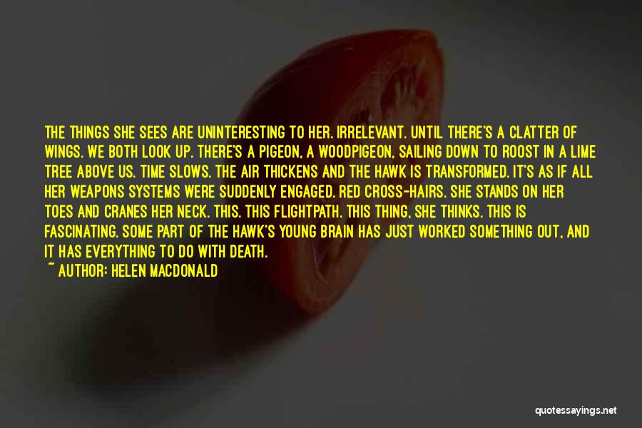 Red Wings Quotes By Helen Macdonald