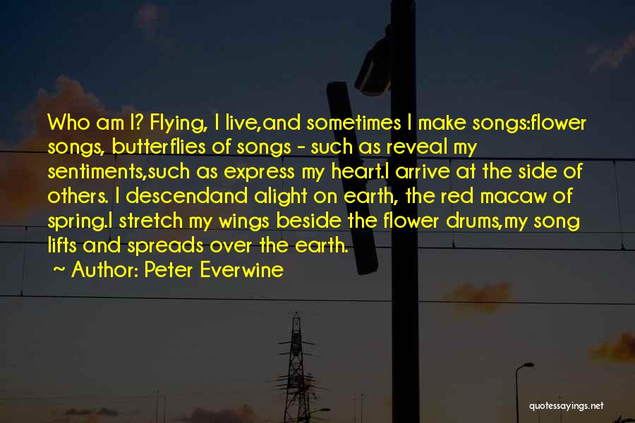 Red Wings Quotes By Peter Everwine
