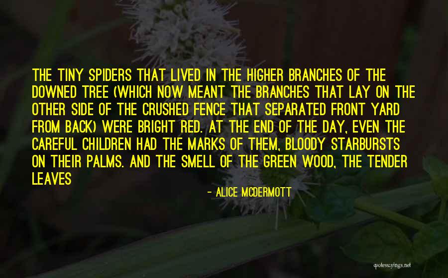 Red Wood Quotes By Alice McDermott Red Wood Quotes By Alice McDermott