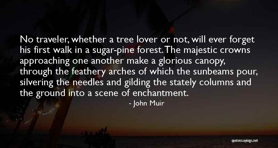 Redbirds In A Tree Quotes By John Muir Redbirds In A Tree Quotes By John Muir
