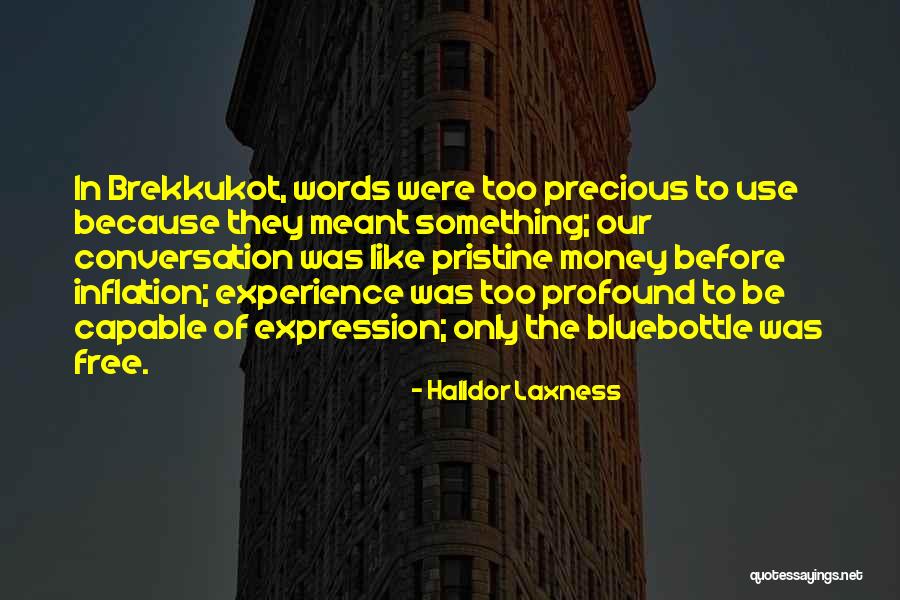 Redbridge Insurance Quotes By Halldor Laxness Redbridge Insurance Quotes By Halldor Laxness