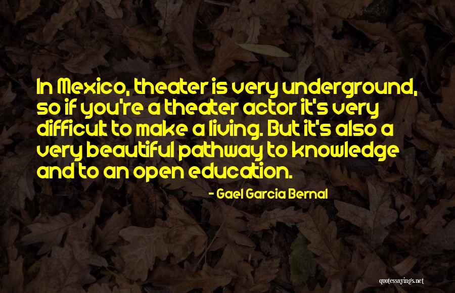 Reddened Skin Quotes By Gael Garcia Bernal Reddened Skin Quotes By Gael Garcia Bernal