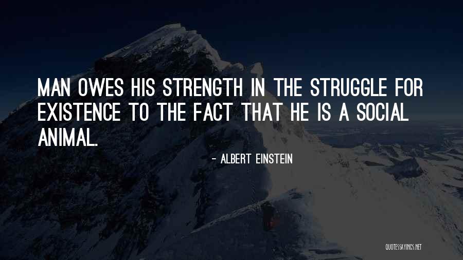 Reddening Of Eyes Quotes By Albert Einstein Reddening Of Eyes Quotes By Albert Einstein