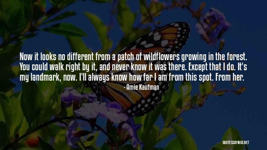 Reddethknight Quotes By Amie Kaufman Reddethknight Quotes By Amie Kaufman