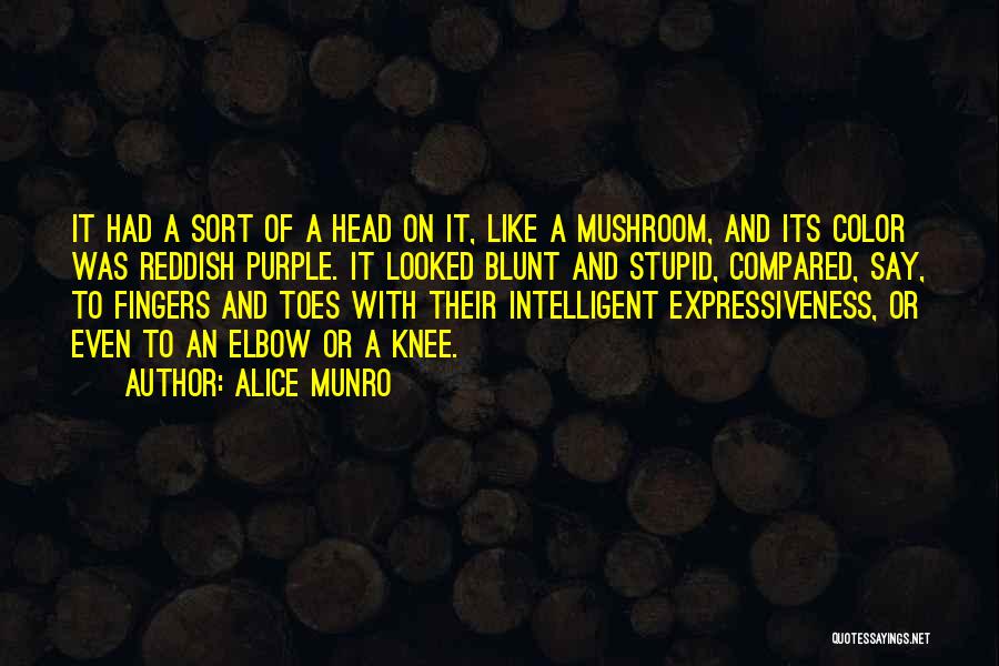 Reddish Quotes By Alice Munro