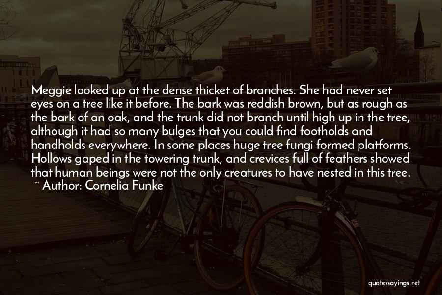 Reddish Quotes By Cornelia Funke
