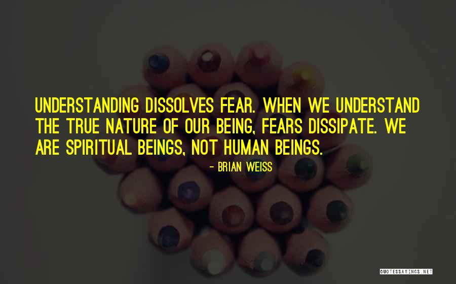 Reddit Dnd Quotes By Brian Weiss Reddit Dnd Quotes By Brian Weiss