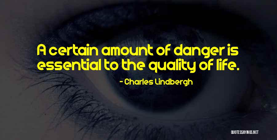 Redekop Mfg Quotes By Charles Lindbergh Redekop Mfg Quotes By Charles Lindbergh