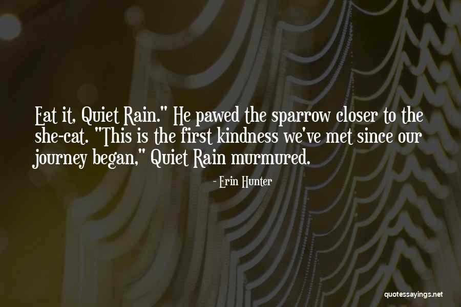 Redesigns Deviantart Quotes By Erin Hunter Redesigns Deviantart Quotes By Erin Hunter