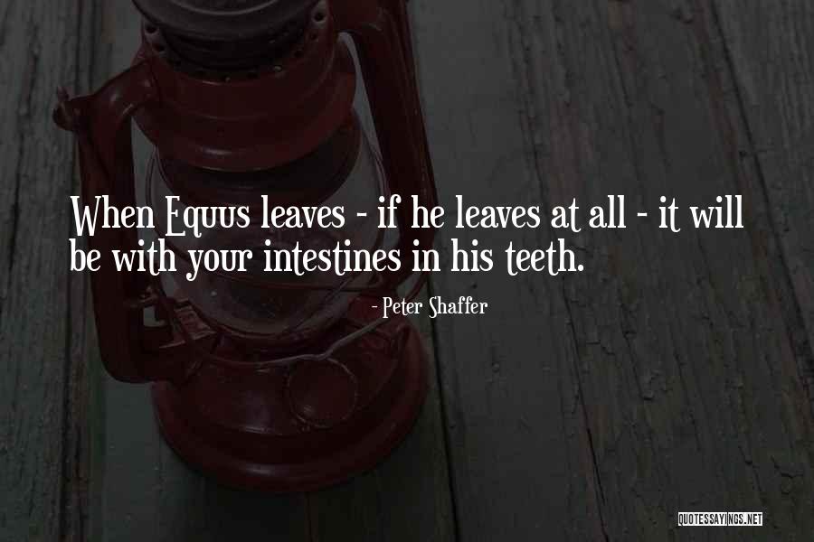 Redheadedness Quotes By Peter Shaffer Redheadedness Quotes By Peter Shaffer