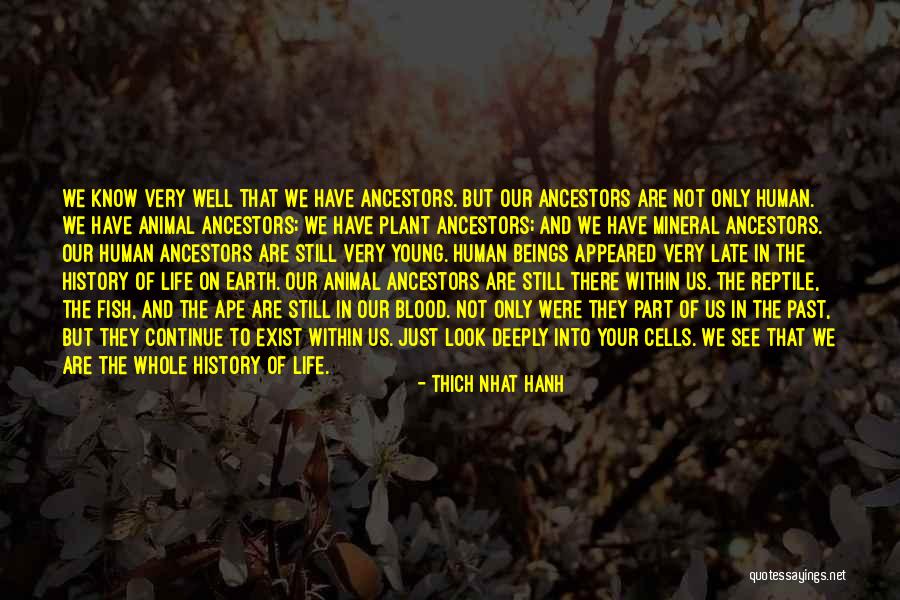 Rediker Teacher Quotes By Thich Nhat Hanh Rediker Teacher Quotes By Thich Nhat Hanh