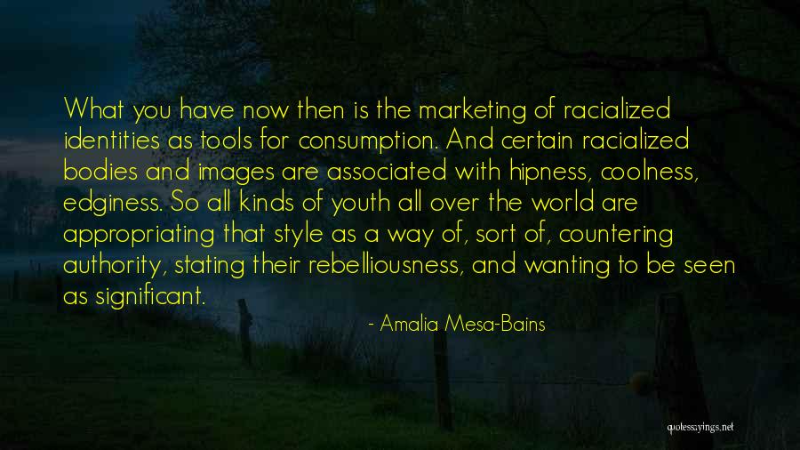 Redinger Law Quotes By Amalia Mesa-Bains Redinger Law Quotes By Amalia Mesa-Bains