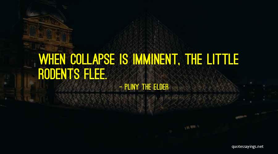 Redino Cupelli Quotes By Pliny The Elder Redino Cupelli Quotes By Pliny The Elder