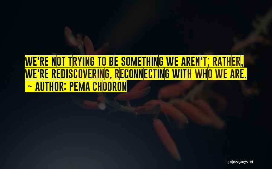 Rediscovering Quotes By Pema Chodron