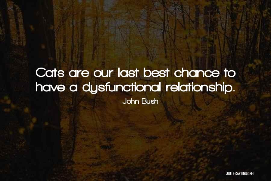 Rediscovers Quotes By John Bush Rediscovers Quotes By John Bush