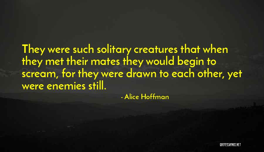 Redrum Quotes By Alice Hoffman Redrum Quotes By Alice Hoffman