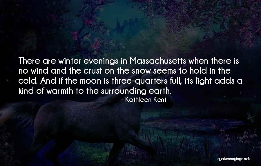 Reduccion De Senos Quotes By Kathleen Kent Reduccion De Senos Quotes By Kathleen Kent