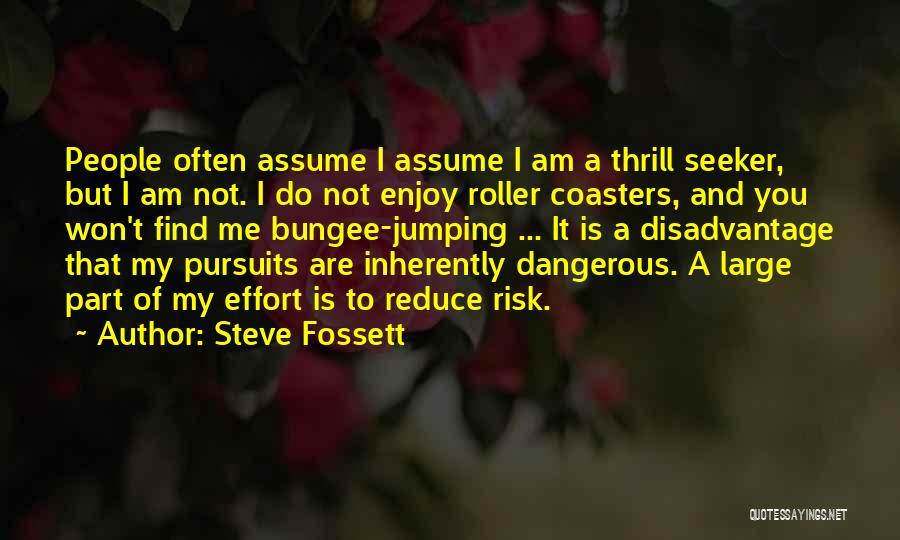 Reduce Risk Quotes By Steve Fossett