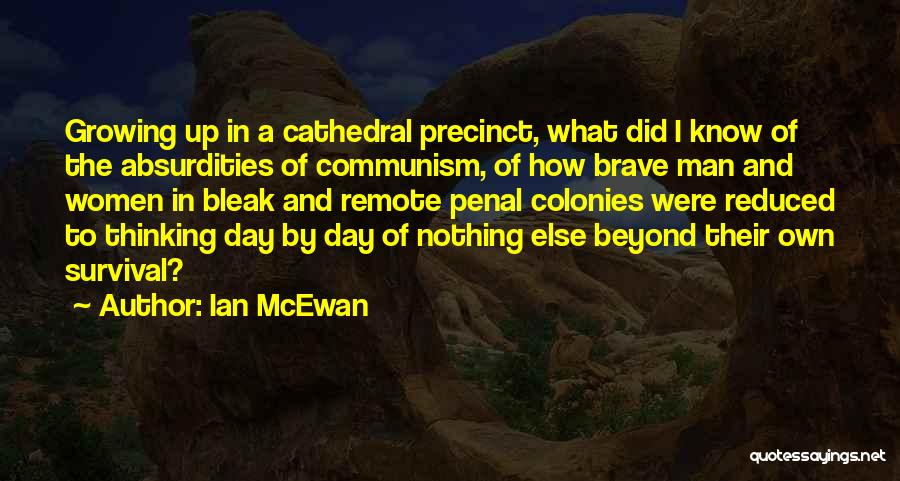 Reduced To Nothing Quotes By Ian McEwan