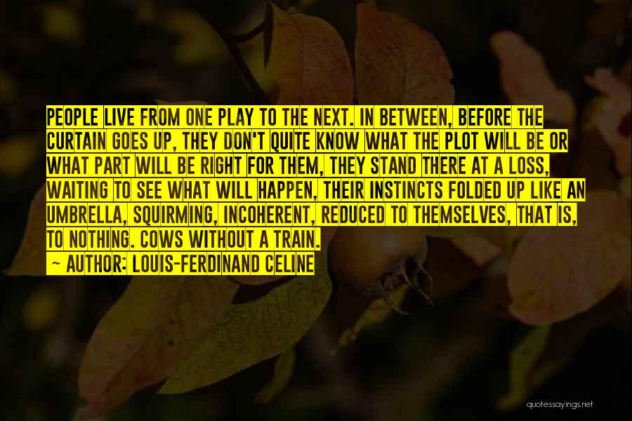 Reduced To Nothing Quotes By Louis-Ferdinand Celine