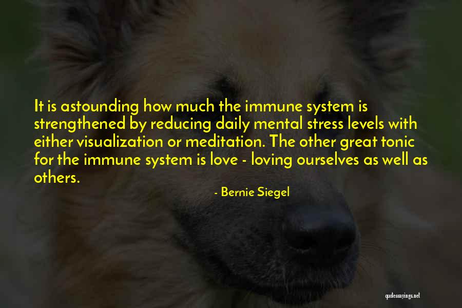 Reducing Love Quotes By Bernie Siegel Reducing Love Quotes By Bernie Siegel