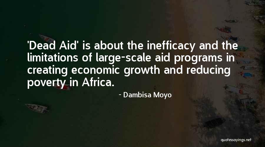 Reducing Poverty Quotes By Dambisa Moyo