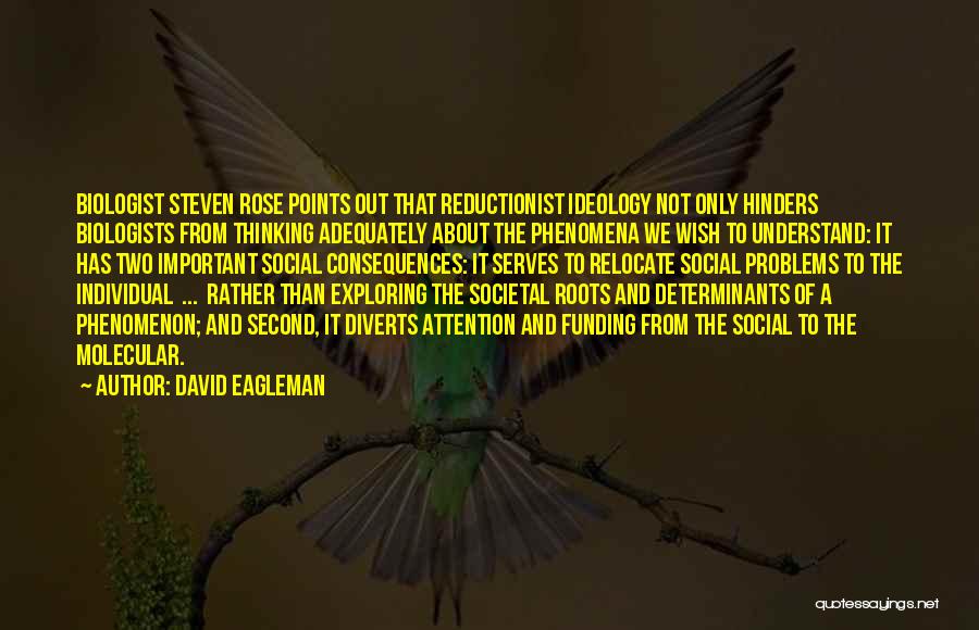 Reductionist Quotes By David Eagleman