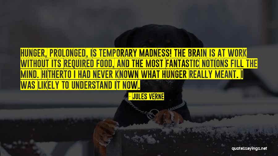 Redundant Information Quotes By Jules Verne Redundant Information Quotes By Jules Verne