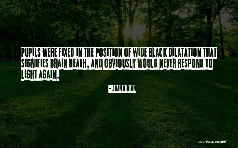 Redundantly Means Quotes By Joan Didion Redundantly Means Quotes By Joan Didion