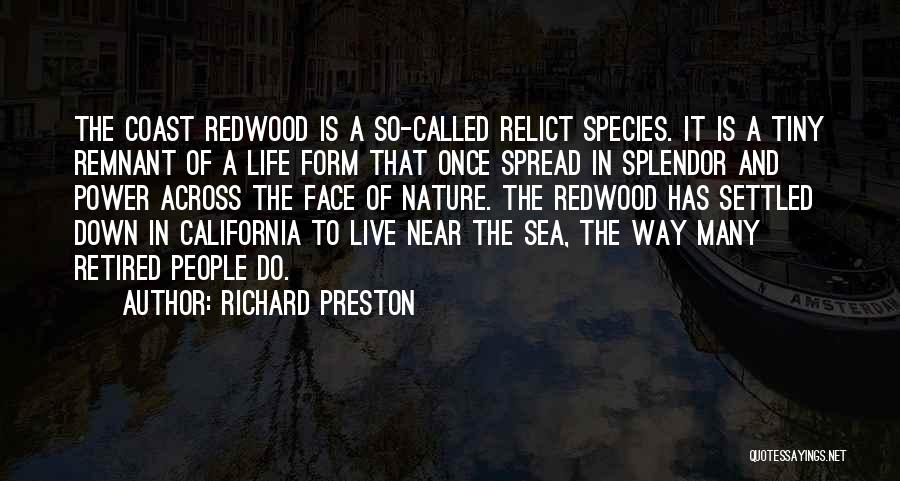 Redwoods Quotes By Richard Preston