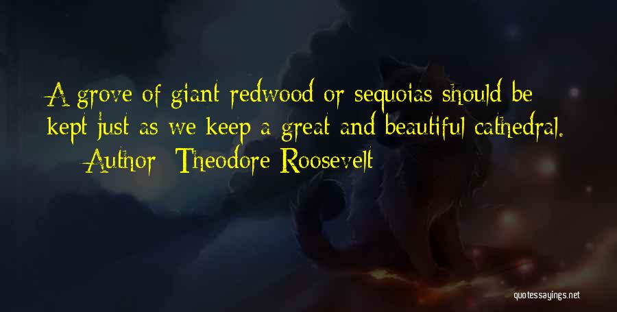 Redwoods Quotes By Theodore Roosevelt