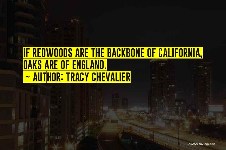 Redwoods Quotes By Tracy Chevalier