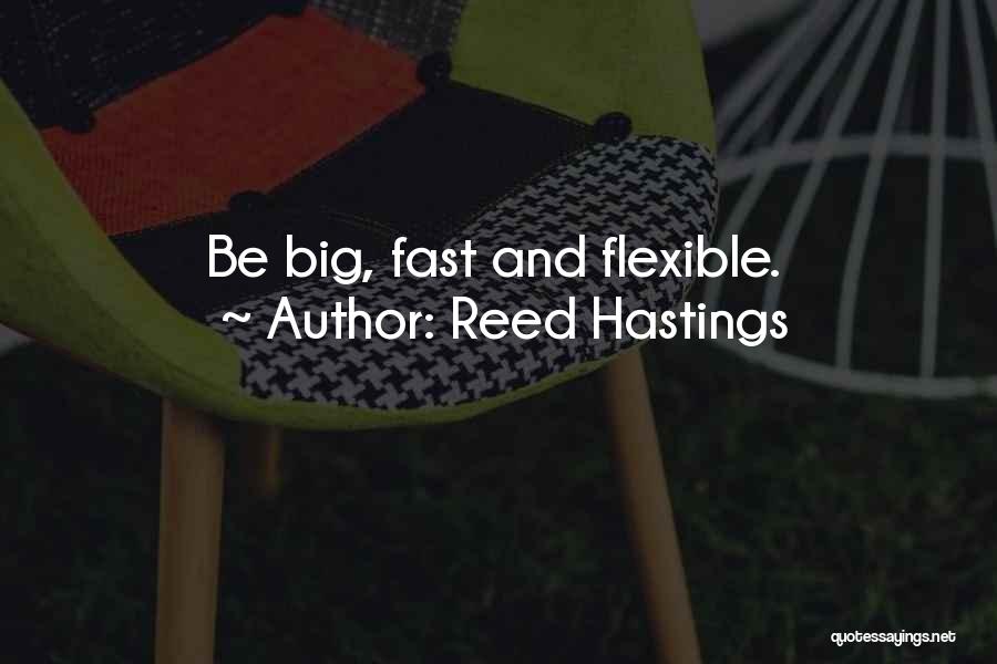Reed Hastings Quotes 107247